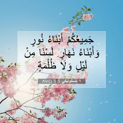 Picture 07 - ١ تسالونيكي 5:5 AVD - جَمِيعُكُمْ أَبْنَاءُ - Bible Verse Picture
