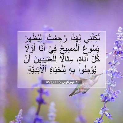 Picture 07 - ١ تيموثاوس 1:16 AVD - لَكِنَّنِي لِهَذَا - Bible Verse Picture