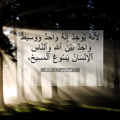 Picture 07 - ١ تيموثاوس 2:5 AVD - لِأَنَّهُ يُوجَدُ إِلَهٌ - Bible Verse Picture