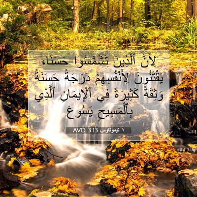 Picture 07 - ١ تيموثاوس 3:13 AVD - لِأَنَّ ٱلَّذِينَ - Bible Verse Picture