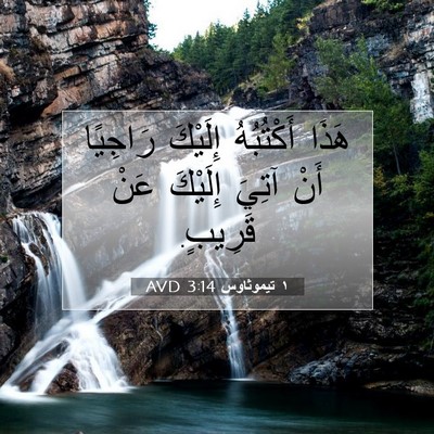 Picture 07 - ١ تيموثاوس 3:14 AVD - هَذَا أَكْتُبُهُ إِلَيْكَ - Bible Verse Picture