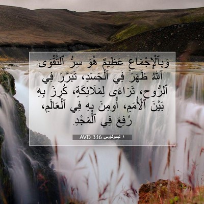 Picture 07 - ١ تيموثاوس 3:16 AVD - وَبِٱلْإِجْمَاعِ عَظِيمٌ - Bible Verse Picture