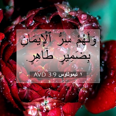 Picture 07 - ١ تيموثاوس 3:9 AVD - وَلَهُمْ سِرُّ - Bible Verse Picture