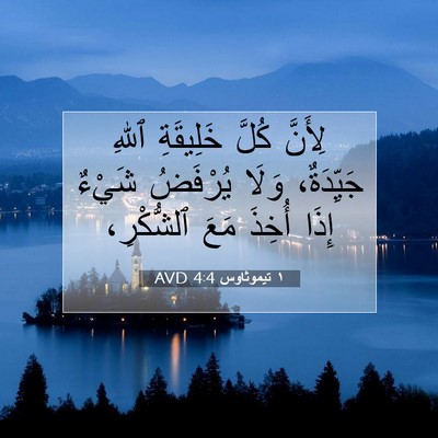 Picture 07 - ١ تيموثاوس 4:4 AVD - لِأَنَّ كُلَّ خَلِيقَةِ - Bible Verse Picture