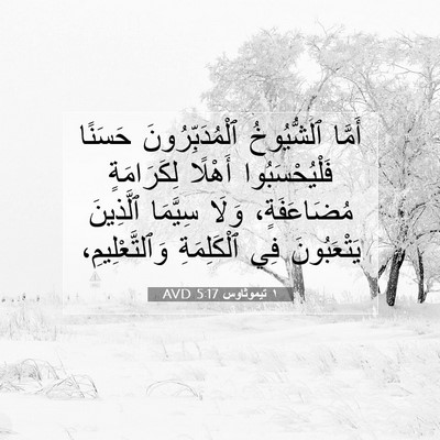 Picture 07 - ١ تيموثاوس 5:17 AVD - أَمَّا ٱلشُّيُوخُ - Bible Verse Picture