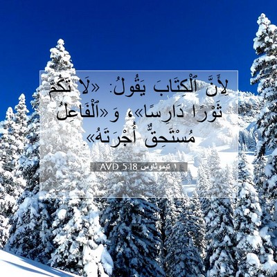 Picture 07 - ١ تيموثاوس 5:18 AVD - لِأَنَّ ٱلْكِتَابَ - Bible Verse Picture
