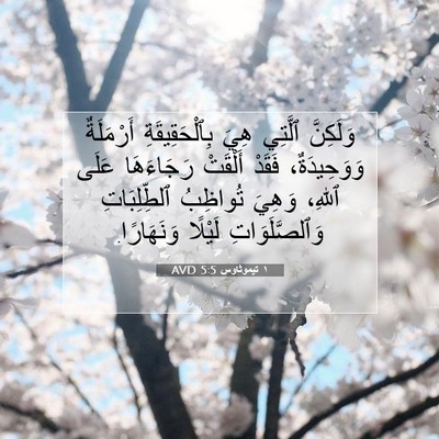 Picture 07 - ١ تيموثاوس 5:5 AVD - وَلَكِنَّ ٱلَّتِي هِيَ - Bible Verse Picture