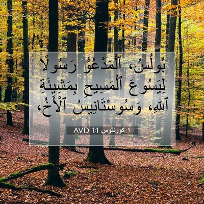 Picture 07 - ١ كورنثوس 1:1 AVD - بُولُسُ، ٱلْمَدْعُوُّ - Bible Verse Picture