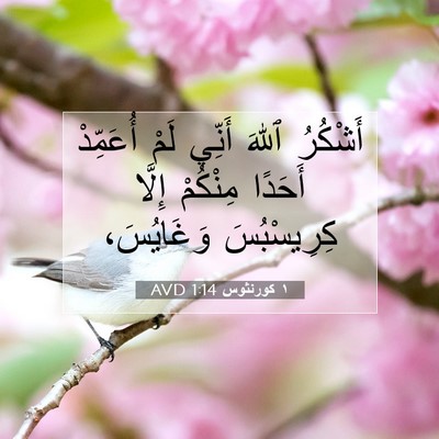 Picture 07 - ١ كورنثوس 1:14 AVD - أَشْكُرُ ٱللهَ أَنِّي لَمْ - Bible Verse Picture