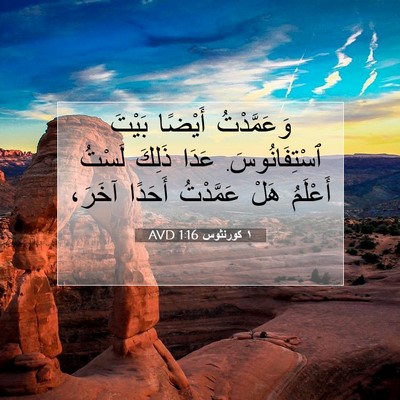 Picture 07 - ١ كورنثوس 1:16 AVD - وَعَمَّدْتُ أَيْضًا - Bible Verse Picture