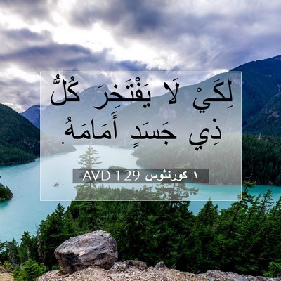 Picture 07 - ١ كورنثوس 1:29 AVD - لِكَيْ لَا يَفْتَخِرَ - Bible Verse Picture