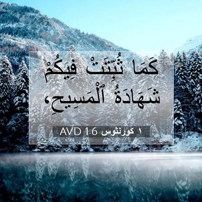 Picture 07 - ١ كورنثوس 1:6 AVD - كَمَا ثُبِّتَتْ فِيكُمْ - Bible Verse Picture