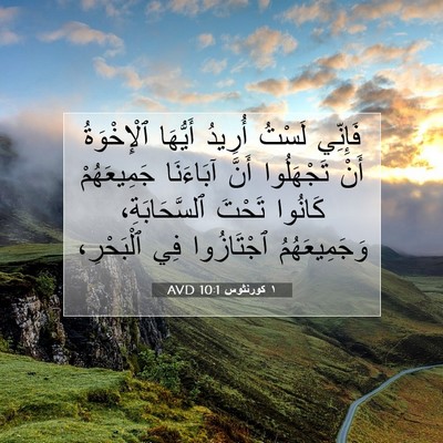 Picture 07 - ١ كورنثوس 10:1 AVD - فَإِنِّي لَسْتُ أُرِيدُ - Bible Verse Picture