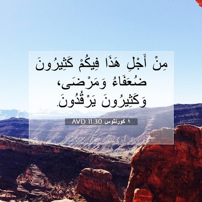 Picture 07 - ١ كورنثوس 11:30 AVD - مِنْ أَجْلِ هَذَا فِيكُمْ - Bible Verse Picture