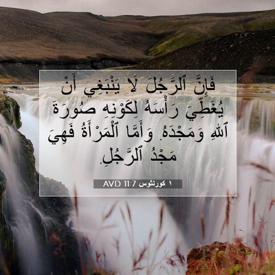 Picture 07 - ١ كورنثوس 11:7 AVD - فَإِنَّ ٱلرَّجُلَ لَا - Bible Verse Picture
