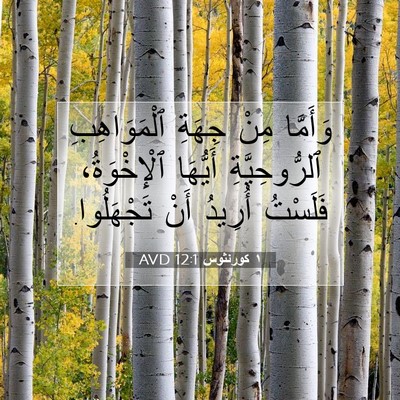 Picture 07 - ١ كورنثوس 12:1 AVD - وَأَمَّا مِنْ جِهَةِ - Bible Verse Picture