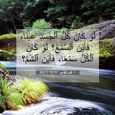 Picture 07 - ١ كورنثوس 12:17 AVD - لَوْ كَانَ كُلُّ ٱلْجَسَدِ - Bible Verse Picture
