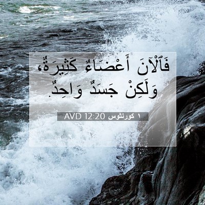Picture 07 - ١ كورنثوس 12:20 AVD - فَٱلْآنَ أَعْضَاءٌ - Bible Verse Picture
