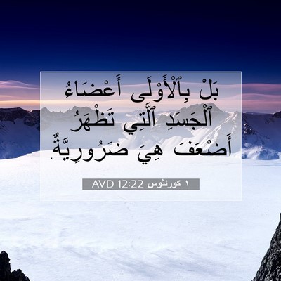 Picture 07 - ١ كورنثوس 12:22 AVD - بَلْ بِٱلْأَوْلَى - Bible Verse Picture