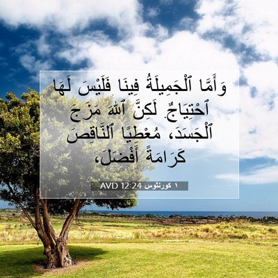 Picture 07 - ١ كورنثوس 12:24 AVD - وَأَمَّا ٱلْجَمِيلَةُ - Bible Verse Picture