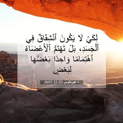 Picture 07 - ١ كورنثوس 12:25 AVD - لِكَيْ لَا يَكُونَ - Bible Verse Picture