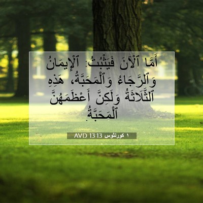 Picture 07 - ١ كورنثوس 13:13 AVD - أَمَّا ٱلْآنَ فَيَثْبُتُ: - Bible Verse Picture