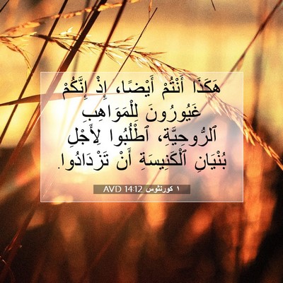 Picture 07 - ١ كورنثوس 14:12 AVD - هَكَذَا أَنْتُمْ أَيْضًا، - Bible Verse Picture