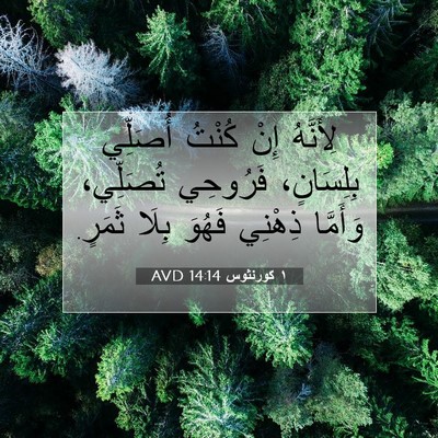 Picture 07 - ١ كورنثوس 14:14 AVD - لِأَنَّهُ إِنْ كُنْتُ - Bible Verse Picture