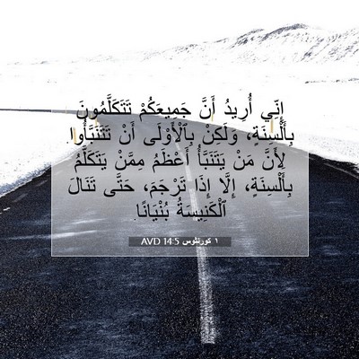 Picture 07 - ١ كورنثوس 14:5 AVD - إِنِّي أُرِيدُ أَنَّ - Bible Verse Picture