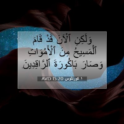 Picture 07 - ١ كورنثوس 15:20 AVD - وَلَكِنِ ٱلْآنَ قَدْ قَامَ - Bible Verse Picture