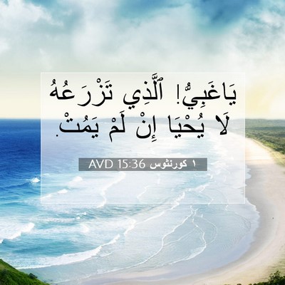 Picture 07 - ١ كورنثوس 15:36 AVD - يَاغَبِيُّ! ٱلَّذِي - Bible Verse Picture
