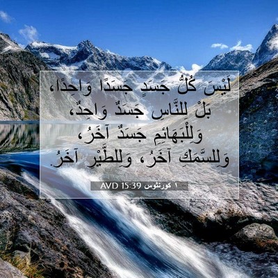Picture 07 - ١ كورنثوس 15:39 AVD - لَيْسَ كُلُّ جَسَدٍ - Bible Verse Picture