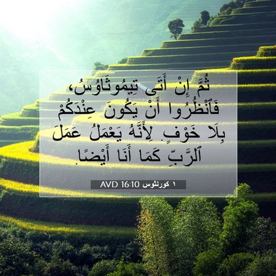 Picture 07 - ١ كورنثوس 16:10 AVD - ثُمَّ إِنْ أَتَى - Bible Verse Picture