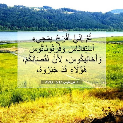 Picture 07 - ١ كورنثوس 16:17 AVD - ثُمَّ إِنِّي أَفْرَحُ - Bible Verse Picture