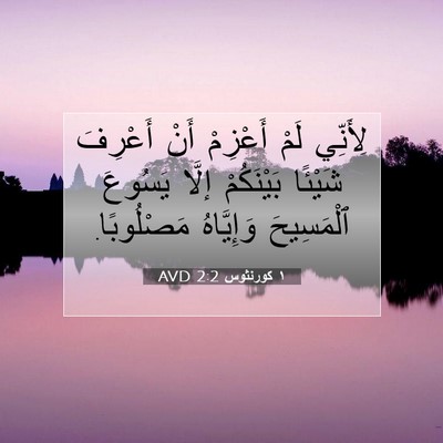 Picture 07 - ١ كورنثوس 2:2 AVD - لِأَنِّي لَمْ أَعْزِمْ - Bible Verse Picture