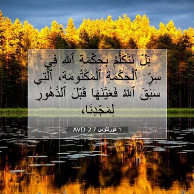 Picture 07 - ١ كورنثوس 2:7 AVD - بَلْ نَتَكَلَّمُ - Bible Verse Picture