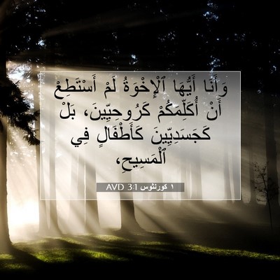 Picture 07 - ١ كورنثوس 3:1 AVD - وَأَنَا أَيُّهَا - Bible Verse Picture