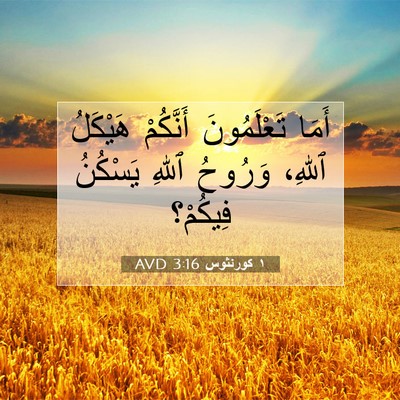 Picture 07 - ١ كورنثوس 3:16 AVD - أَمَا تَعْلَمُونَ - Bible Verse Picture