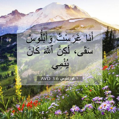 Picture 07 - ١ كورنثوس 3:6 AVD - أَنَا غَرَسْتُ - Bible Verse Picture
