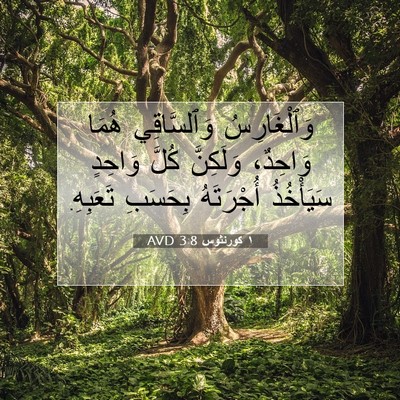 Picture 07 - ١ كورنثوس 3:8 AVD - وَٱلْغَارِسُ وَٱلسَّاقِي - Bible Verse Picture