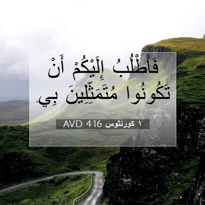 Picture 07 - ١ كورنثوس 4:16 AVD - فَأَطْلُبُ إِلَيْكُمْ - Bible Verse Picture