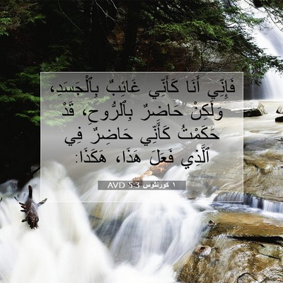 Picture 07 - ١ كورنثوس 5:3 AVD - فَإِنِّي أَنَا كَأَنِّي - Bible Verse Picture