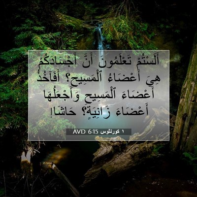 Picture 07 - ١ كورنثوس 6:15 AVD - أَلَسْتُمْ تَعْلَمُونَ - Bible Verse Picture