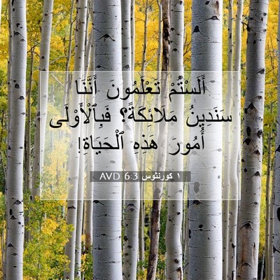 Picture 07 - ١ كورنثوس 6:3 AVD - أَلَسْتُمْ تَعْلَمُونَ - Bible Verse Picture