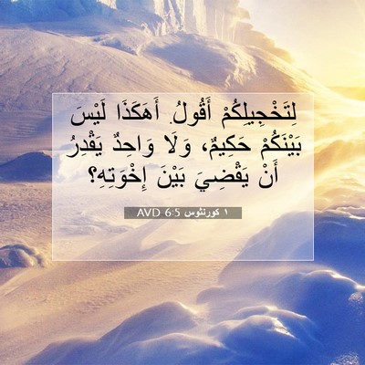 Picture 07 - ١ كورنثوس 6:5 AVD - لِتَخْجِيلِكُمْ أَقُولُ. - Bible Verse Picture