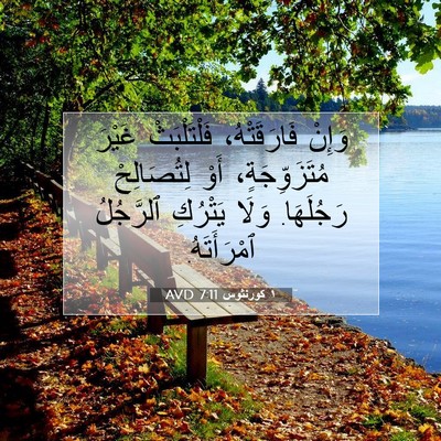 Picture 07 - ١ كورنثوس 7:11 AVD - وَإِنْ فَارَقَتْهُ، - Bible Verse Picture