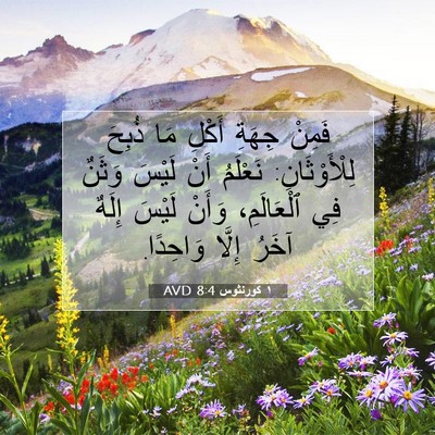 Picture 07 - ١ كورنثوس 8:4 AVD - فَمِنْ جِهَةِ أَكْلِ مَا - Bible Verse Picture