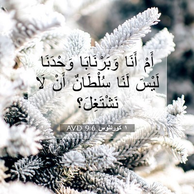 Picture 07 - ١ كورنثوس 9:6 AVD - أَمْ أَنَا وَبَرْنَابَا - Bible Verse Picture