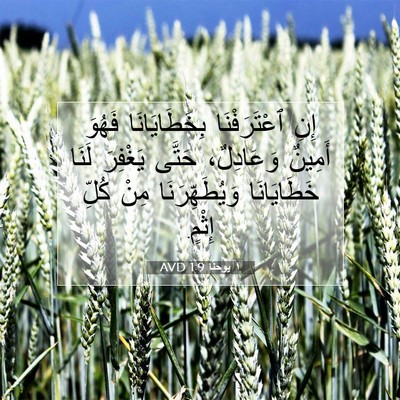 Picture 07 - ١ يوحنَّا 1:9 AVD - إِنِ ٱعْتَرَفْنَا - Bible Verse Picture