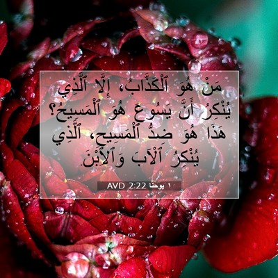 Picture 07 - ١ يوحنَّا 2:22 AVD - مَنْ هُوَ ٱلْكَذَّابُ، - Bible Verse Picture